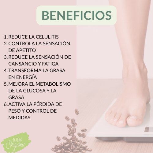 CAFÉ&CAFÉ FIT DE FUXION- Control de Apetito y Peso