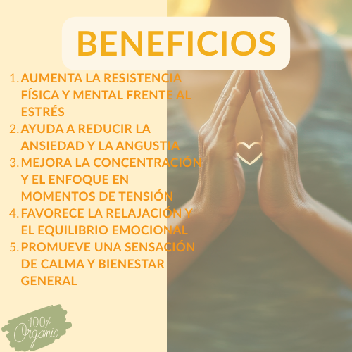 NO STRESS DE FUXION- Relajado, Enfocado y en Positivo