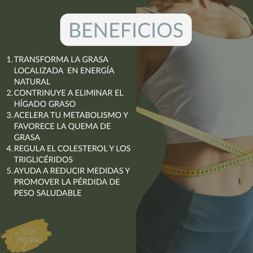 THERMO T3 DE FUXION- Quemador de Grasa Natural