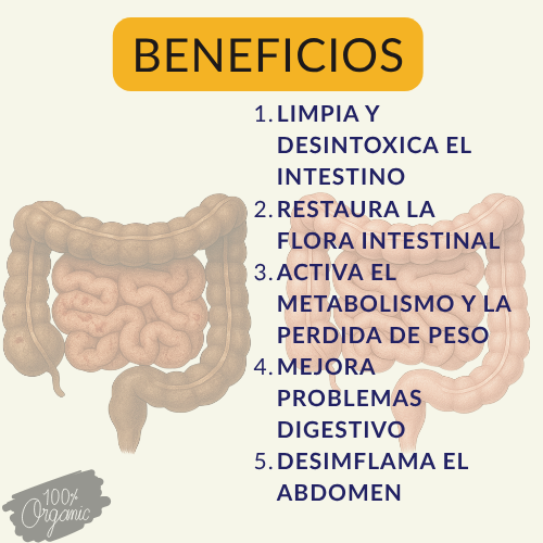 KIT DETOX FUXION - Limpieza digestiva